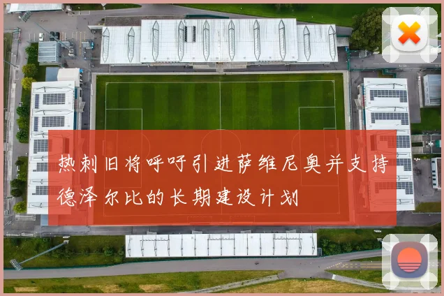 热刺旧将呼吁引进萨维尼奥并支持德泽尔比的长期建设计划